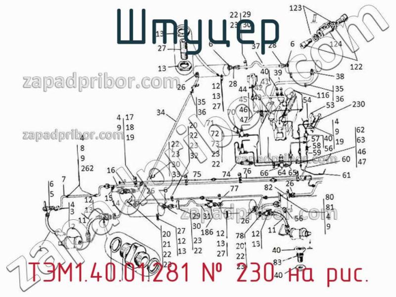 Штуцер ТЭМ1.40.01.281 фотография.