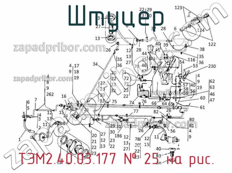 Штуцер ТЭМ2.40.03.177 фотография.
