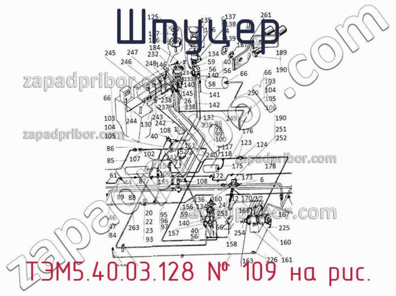 Штуцер ТЭМ5.40.03.128 фотография.