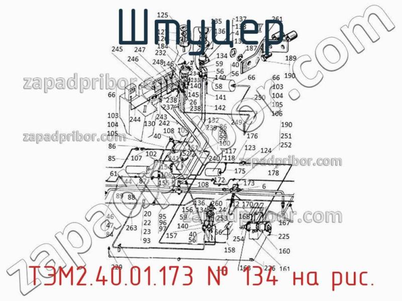 Штуцер ТЭМ2.40.01.173 фотография.
