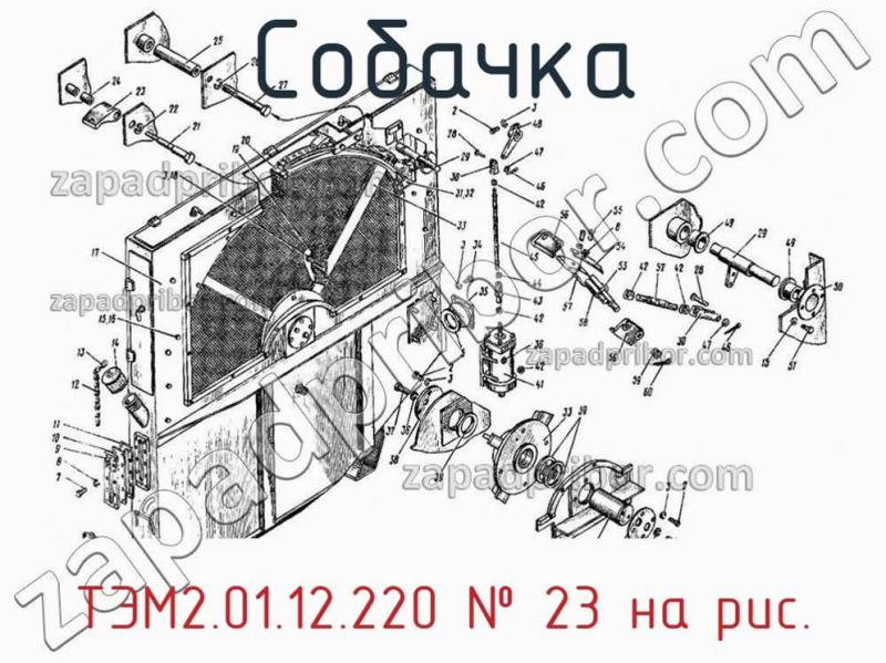 Собачка ТЭМ2.01.12.220 фотография.