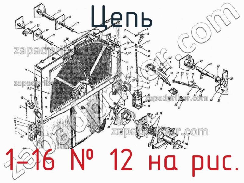 Цепь 1-16 фотография.