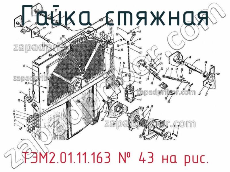 Гайка стяжная ТЭМ2.01.11.163 фотография.