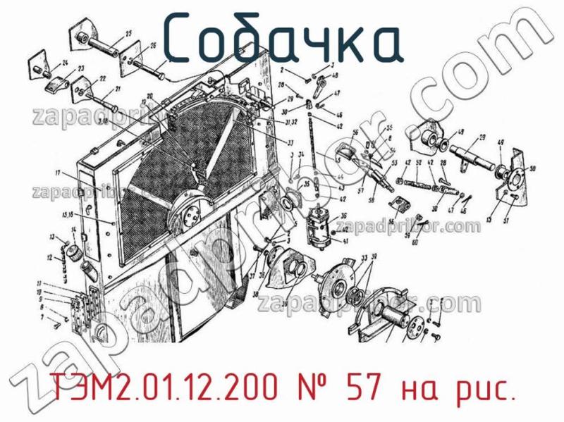 Собачка ТЭМ2.01.12.200 фотография.