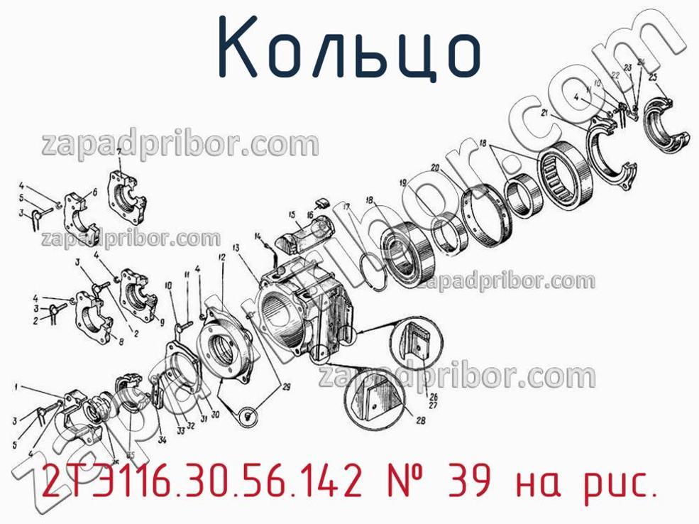 2ТЭ116.30.56.142 - Кольцо - фотография. Увеличить. 2ТЭ116.30.56.142 - Кольцо - фотография.