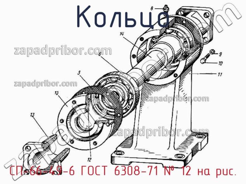 Кольцо СП-66-49-6 ГОСТ 6308-71 фотография.