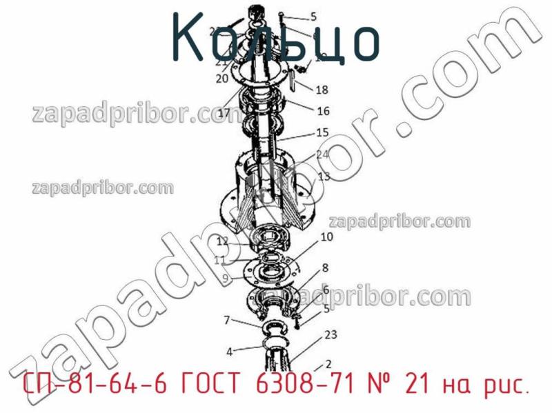 Кольцо СП-81-64-6 ГОСТ 6308-71 фотография.