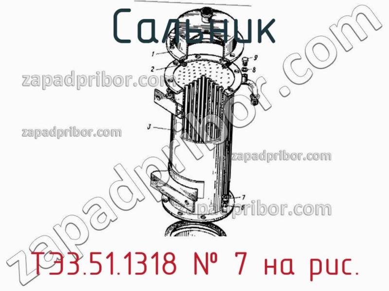 Сальник ТЭ3.51.1318 фотография.