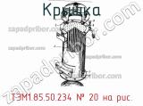 ТЭМ1.85.50.234