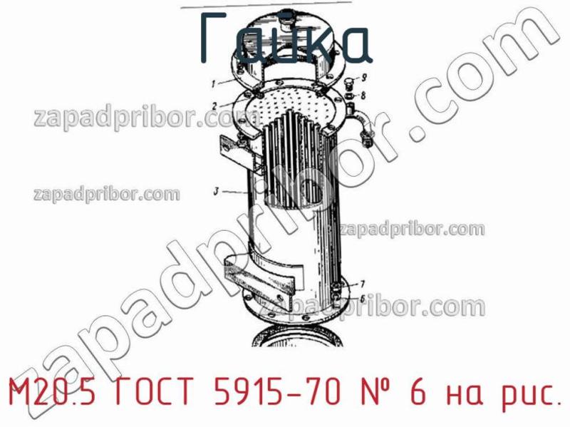 Гайка М20.5 ГОСТ 5915-70 фотография.
