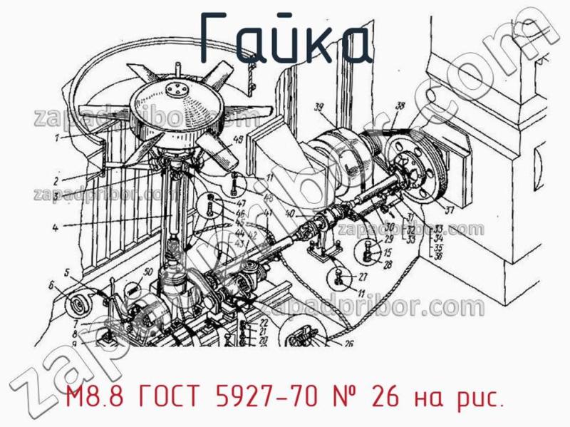 Гайка М8.8 ГОСТ 5927-70 фотография.