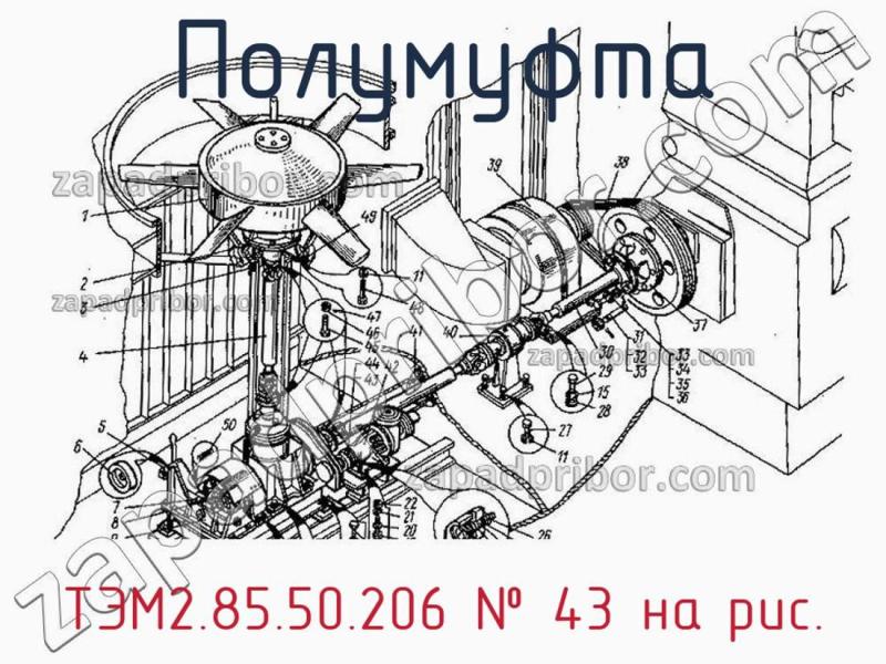 Полумуфта ТЭМ2.85.50.206 фотография.