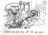 ТЭМ2.00.20.254
