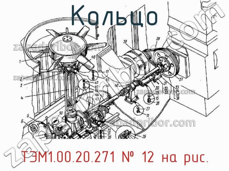 Кольцо ТЭМ1.00.20.271 фотография.