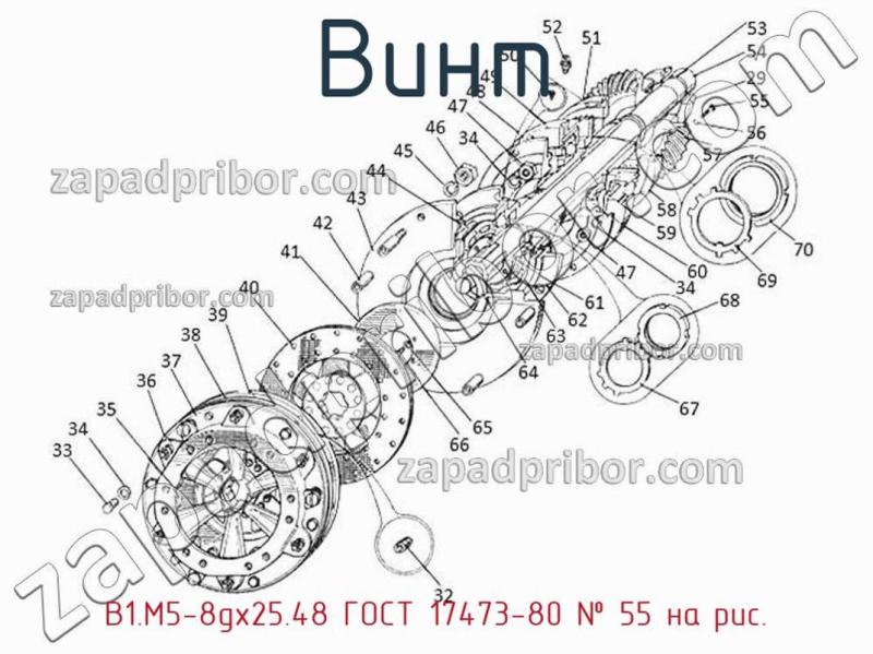 Винт В1.М5-8gx25.48 ГОСТ 17473-80 фотография.