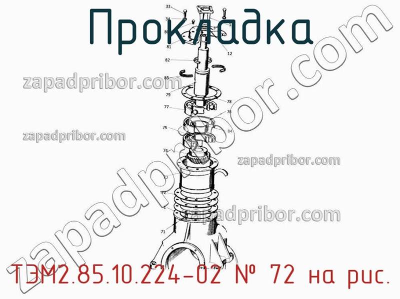 Прокладка ТЭМ2.85.10.224-02 фотография.