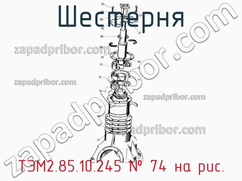 Шестерня ТЭМ2.85.10.245 фотография.