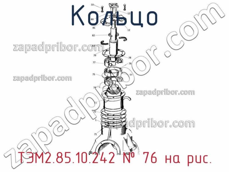 Кольцо ТЭМ2.85.10.242 фотография.