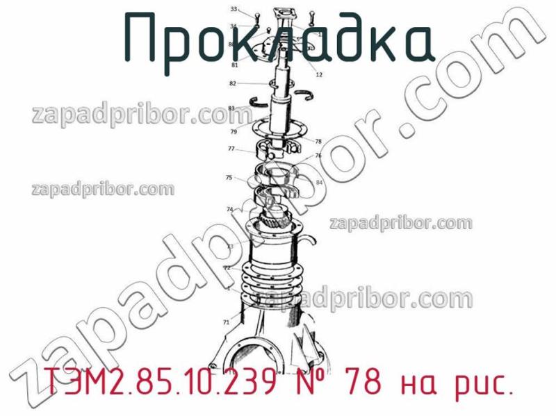 Прокладка ТЭМ2.85.10.239 фотография.