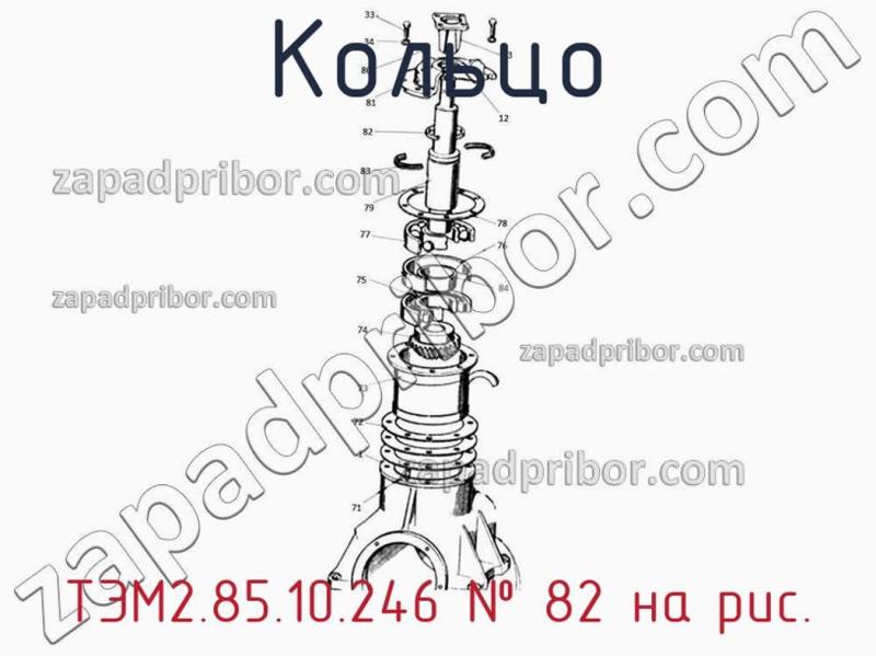 Кольцо ТЭМ2.85.10.246 фотография.