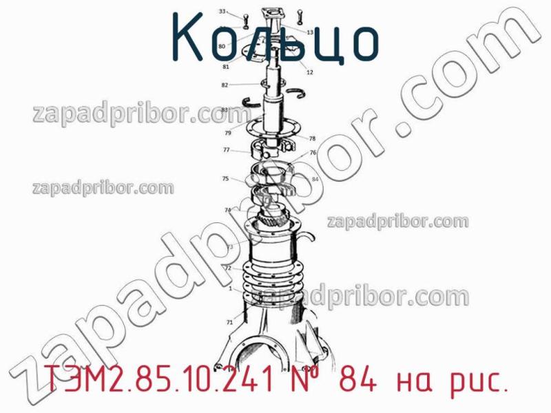 Кольцо ТЭМ2.85.10.241 фотография.