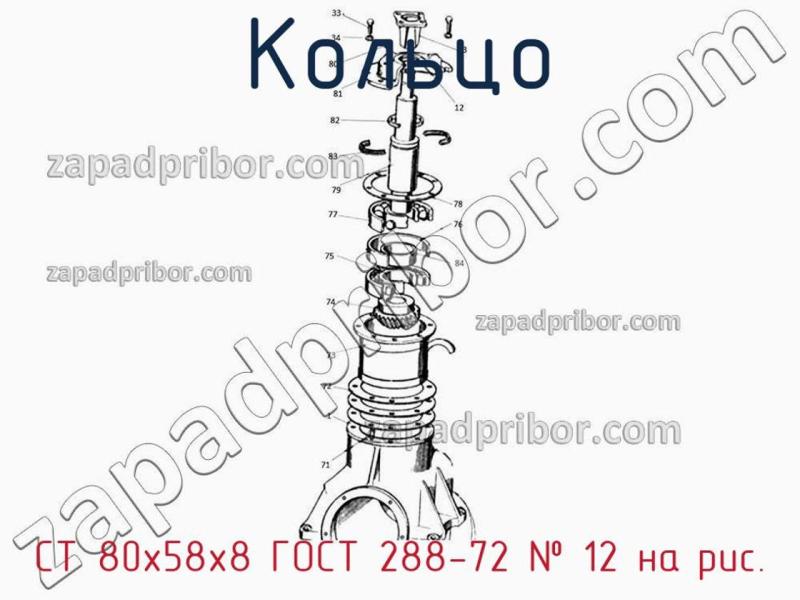 Кольцо СТ 80х58х8 ГОСТ 288-72 фотография.
