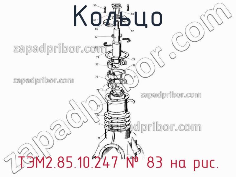 Кольцо ТЭМ2.85.10.247 фотография.