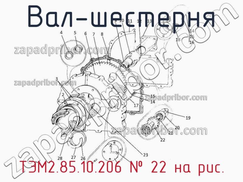 Вал-шестерня ТЭМ2.85.10.206 фотография.