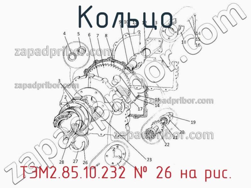 Кольцо ТЭМ2.85.10.232 фотография.