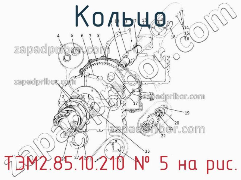 Кольцо ТЭМ2.85.10.210 фотография.