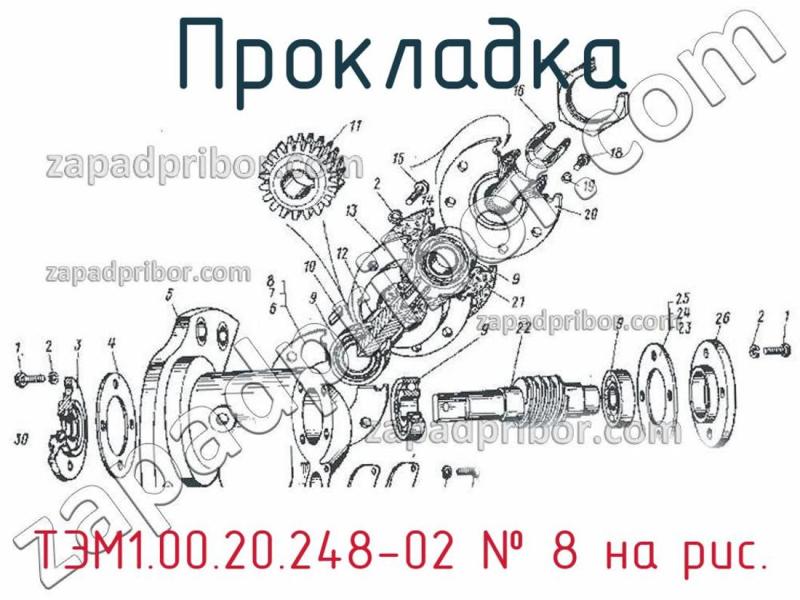 Прокладка ТЭМ1.00.20.248-02 фотография.