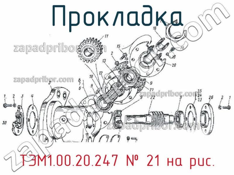 Прокладка ТЭМ1.00.20.247 фотография.