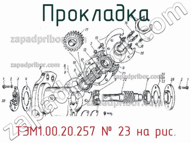 Прокладка ТЭМ1.00.20.257 фотография.