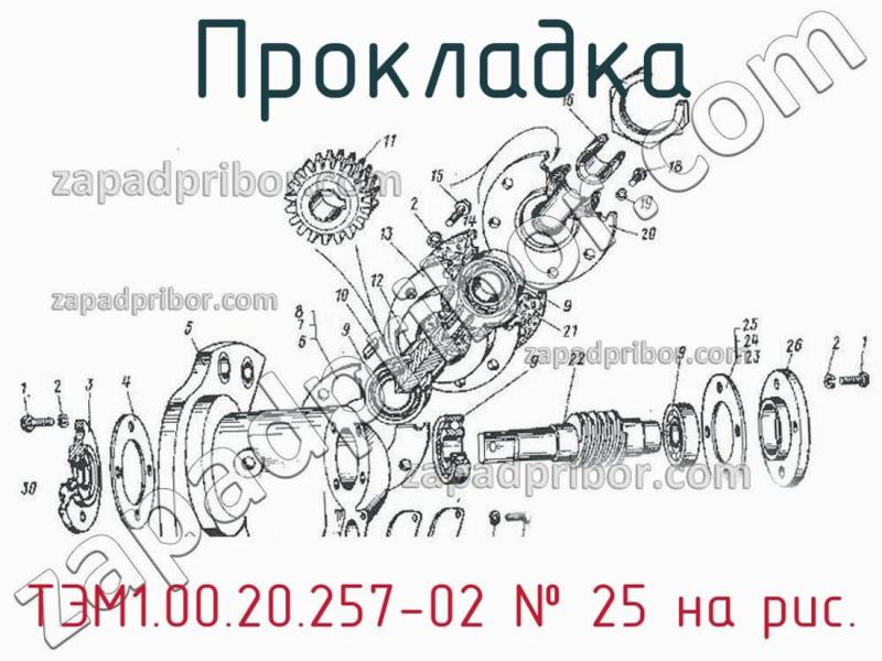 Прокладка ТЭМ1.00.20.257-02 фотография.