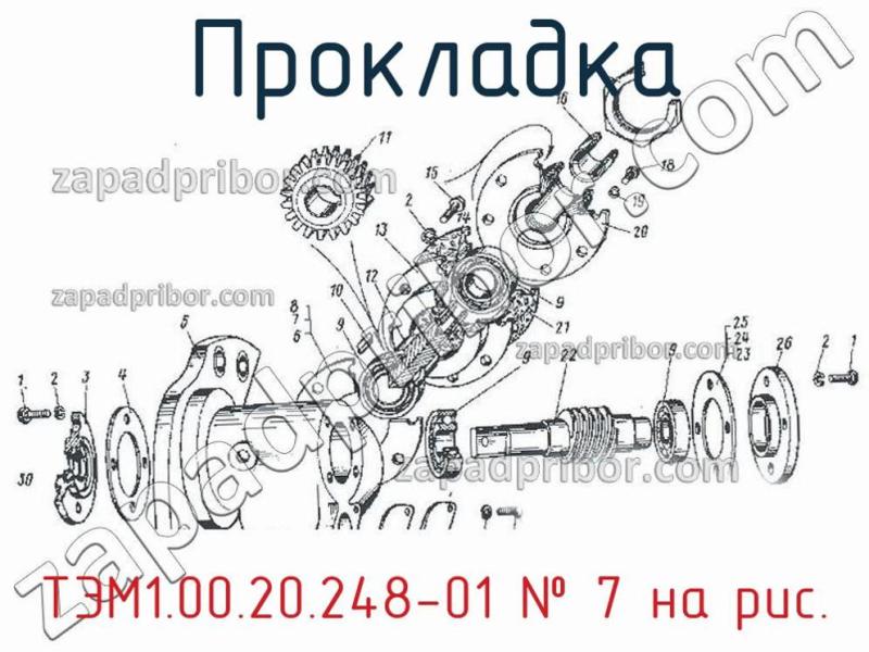 Прокладка ТЭМ1.00.20.248-01 фотография.