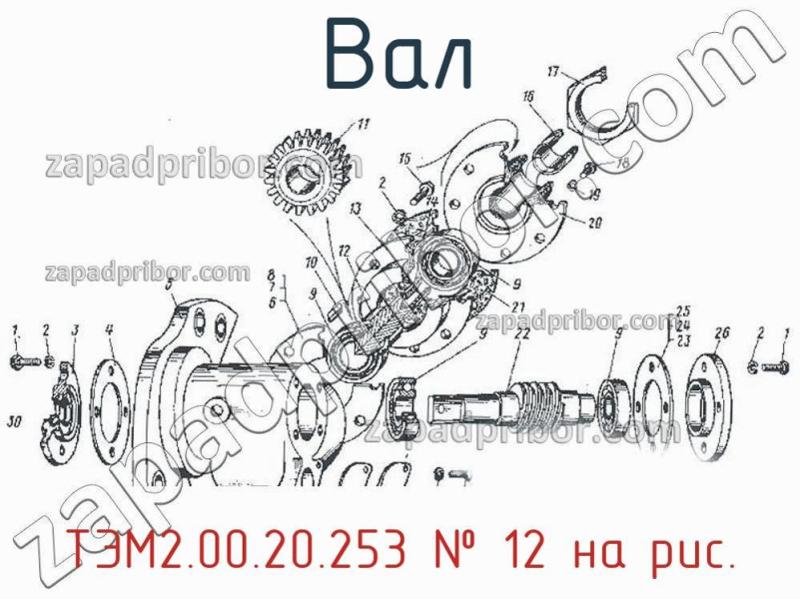 Вал ТЭМ2.00.20.253 фотография.