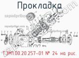 ТЭМ1.00.20.257-01