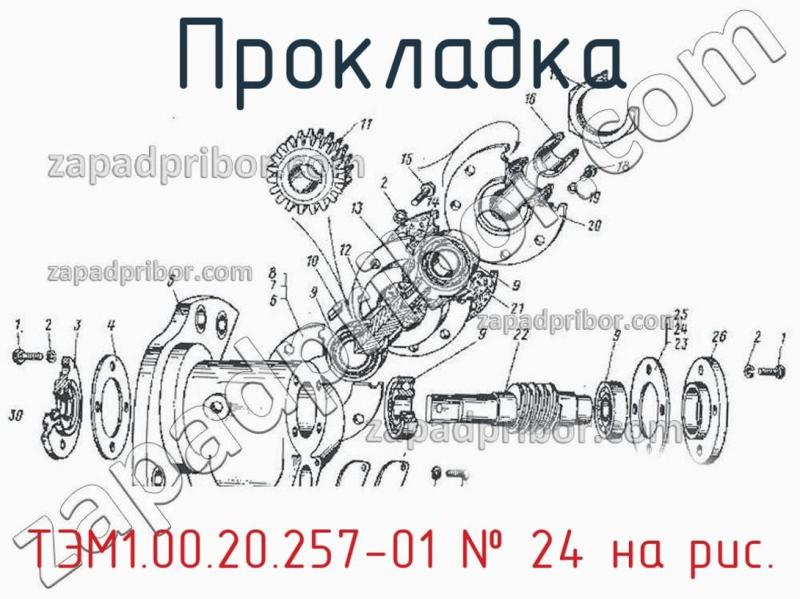 Прокладка ТЭМ1.00.20.257-01 фотография.