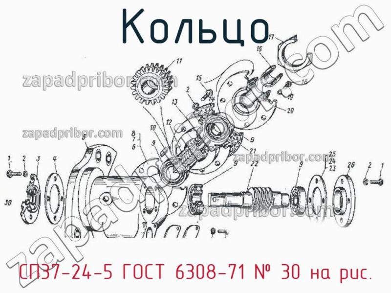 Кольцо СП37-24-5 ГОСТ 6308-71 фотография.