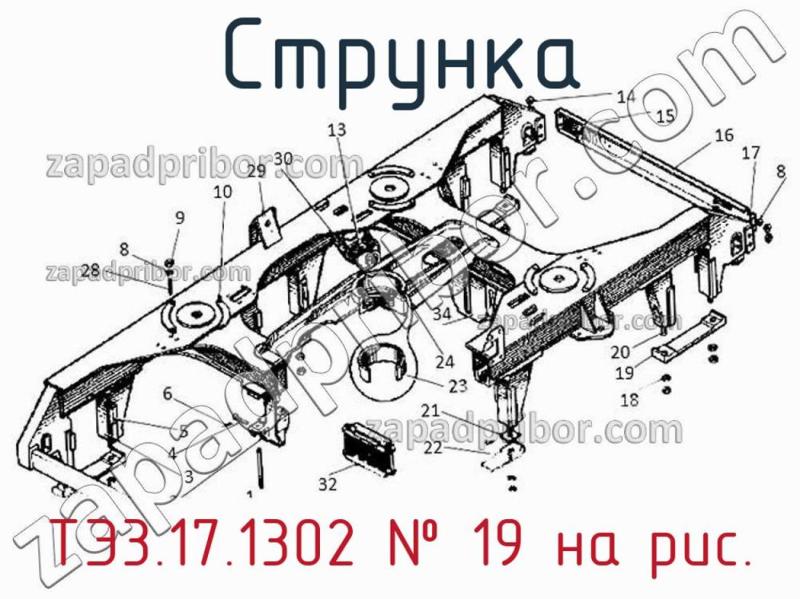 Струнка ТЭ3.17.1302 фотография.