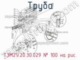 ТЭМ2У.20.30.029