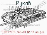ТЭМ1.70.75.145-01