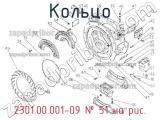 Кольцо 2301.00.001-09