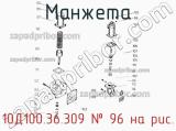 10Д100.36.309