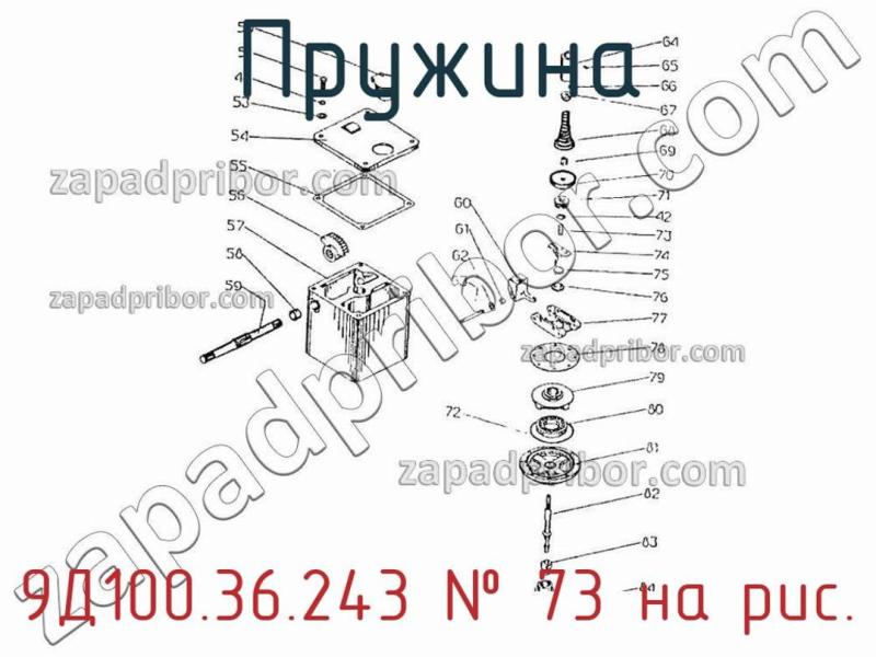 Пружина 9Д100.36.243 фотография.