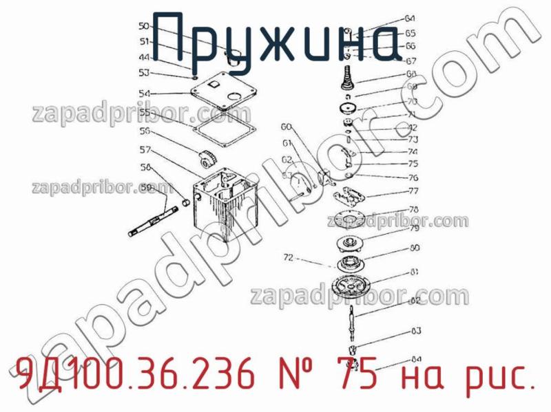 Пружина 9Д100.36.236 фотография.