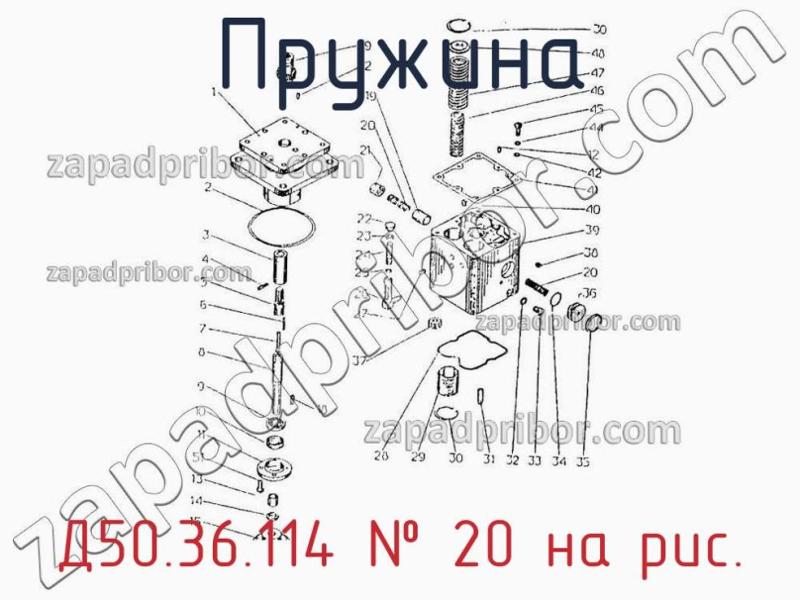 Пружина Д50.36.114 фотография.