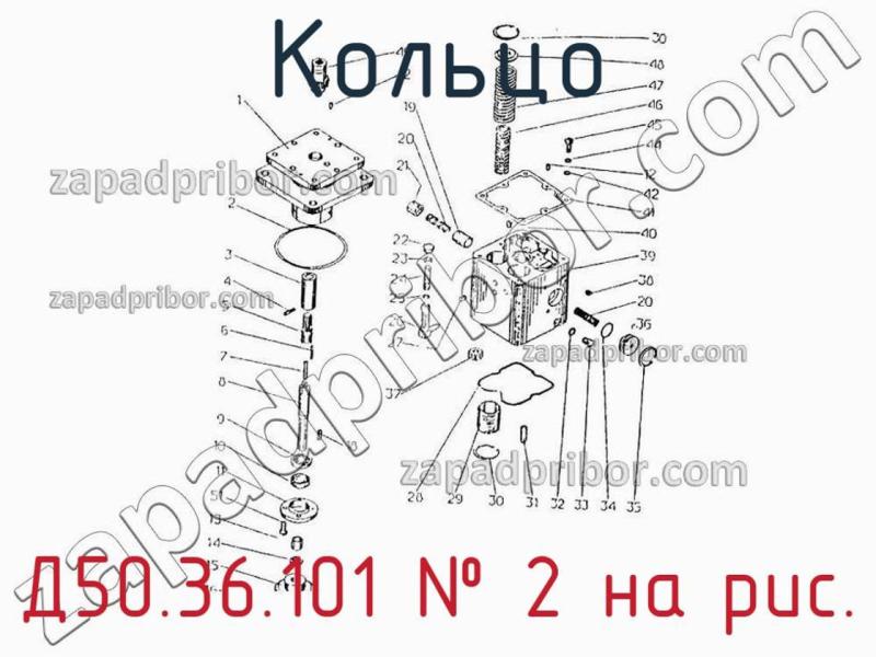 Кольцо Д50.36.101 фотография.