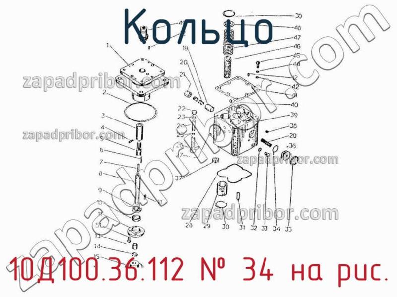 Кольцо 10Д100.36.112 фотография.