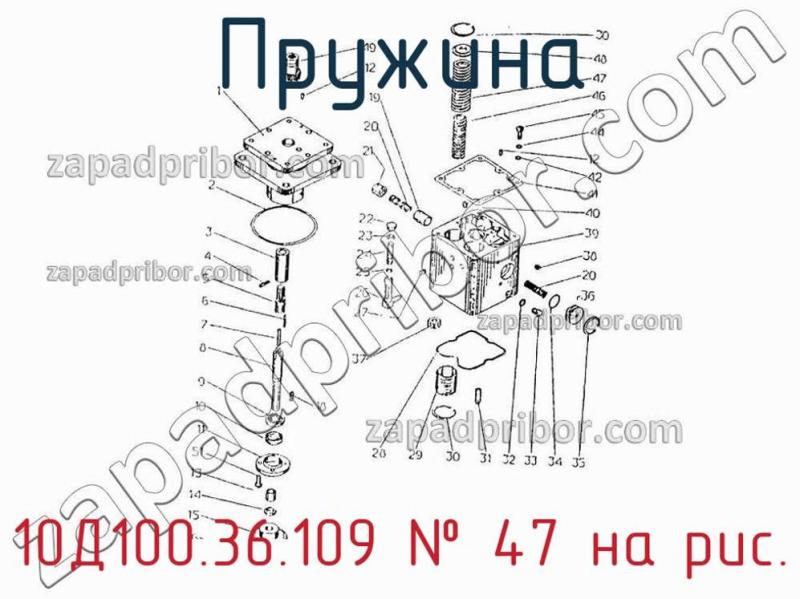 Пружина 10Д100.36.109 фотография.